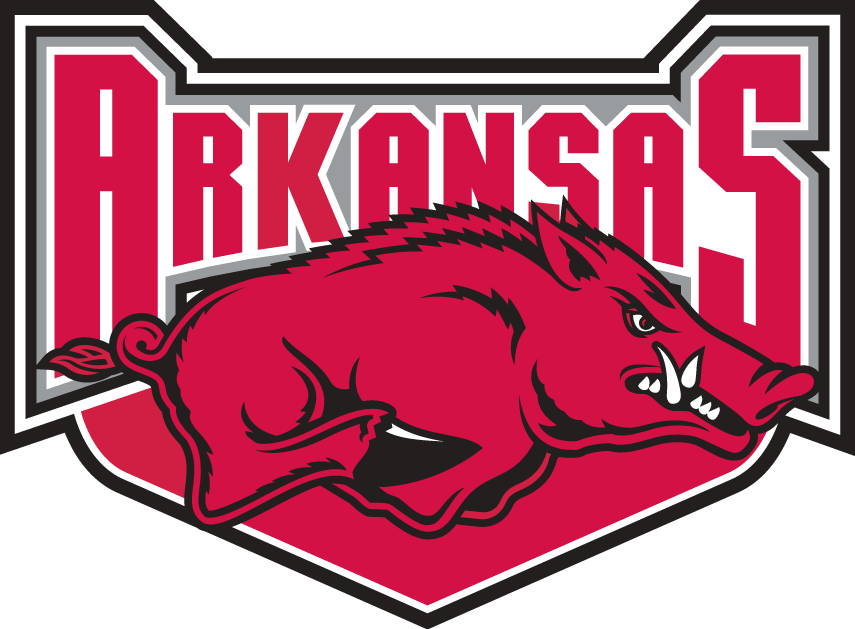 Arkansas Razorbacks 2001-2008 Alternate Logo iron on transfers for fabric